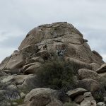 IMG_1186-sm